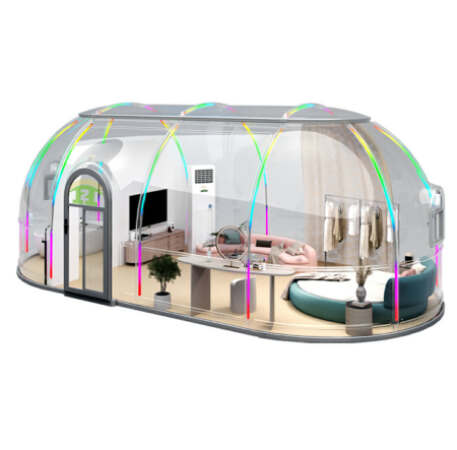 Proin ultrices sem at magna porttitor dignissim